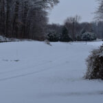 [2020-12-09] 12-9-2020 001 Winter day by doctorcorby – 863585208