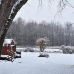 [2020-12-09] 12-9-2020 002 Winter day by doctorcorby – 863585473